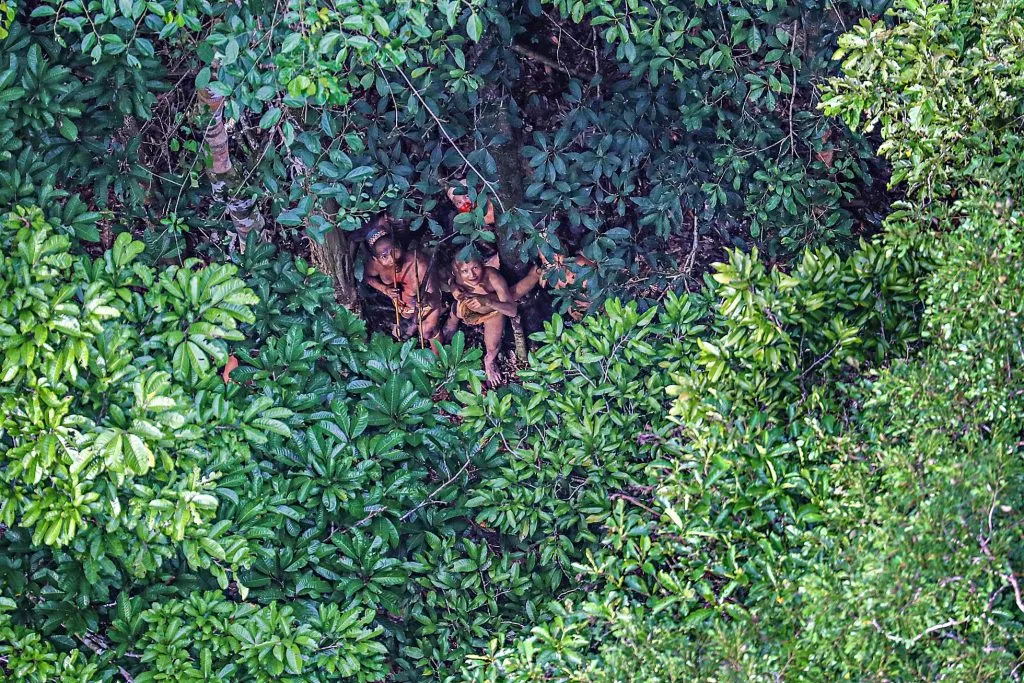 In historical decision, STF orders federal government to adopt measures to protect indigenous peoples