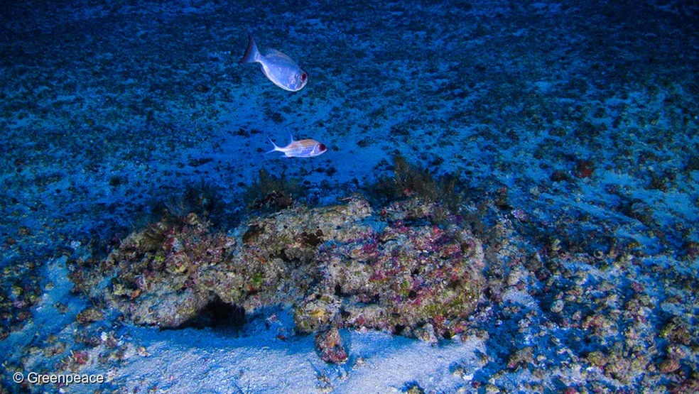 Sem novos estudos ambientais, Petrobras quer explorar petróleo no litoral do Amapá