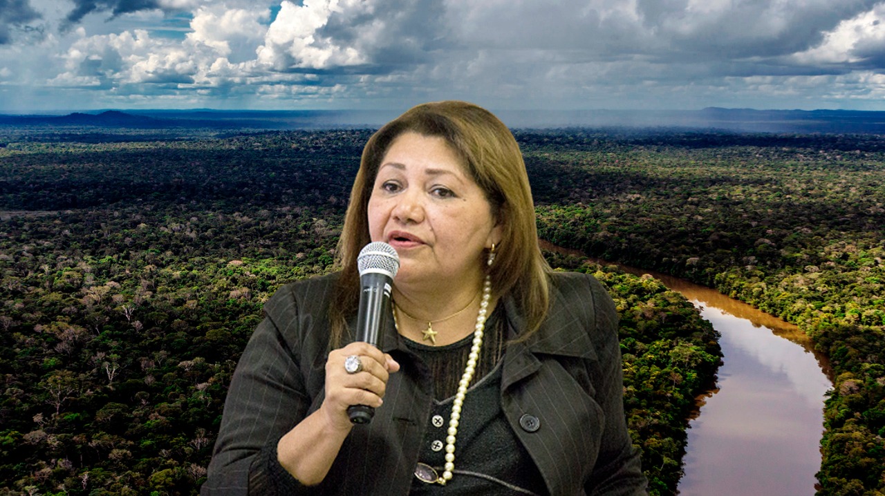 ‘Ministério da Amazônia deixou de ser especulação há muito tempo’, diz Marilene Corrêa, cotada para a pasta