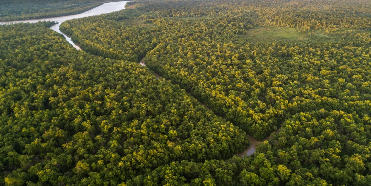 Ciência busca desvendar mistérios no ar da Amazônia