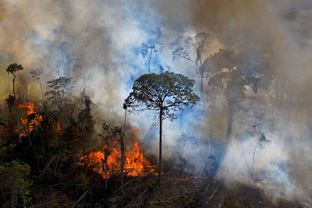 Incêndio atinge floresta no Pará (Carl de Souza/15.ago.20/AFP)