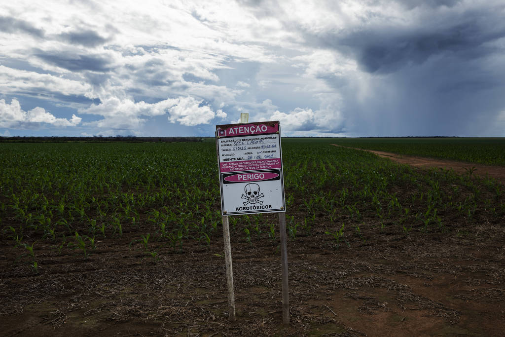 Comissão de Agricultura aprova ‘PL do Veneno’; projeto segue para votação no plenário