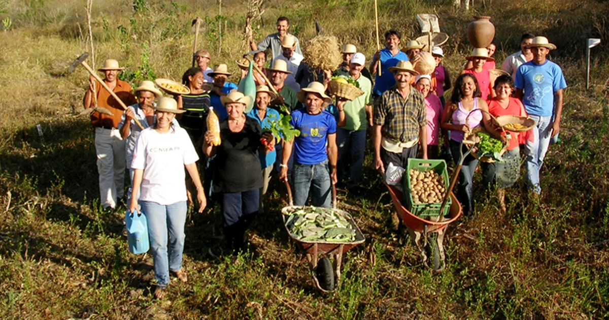 De 2019 a 2022 foram incorporados 36 novos assentamentos, totalizando 306,7 mil hectares. (Codevasf/CC)