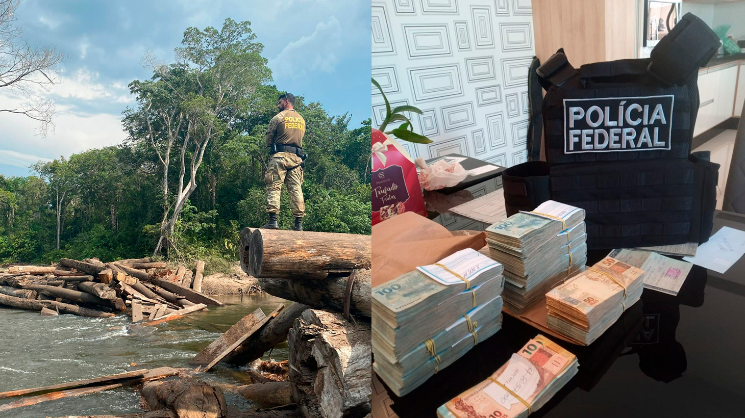 PF mira grupo de empresários e madeireiros responsáveis por desmatar terras indígenas em RO