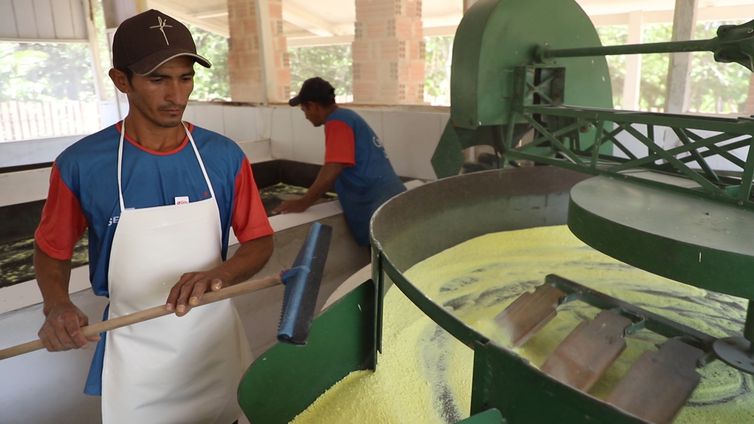 No interior do Acre, farinha movimenta economia e leva renda para comunidades locais