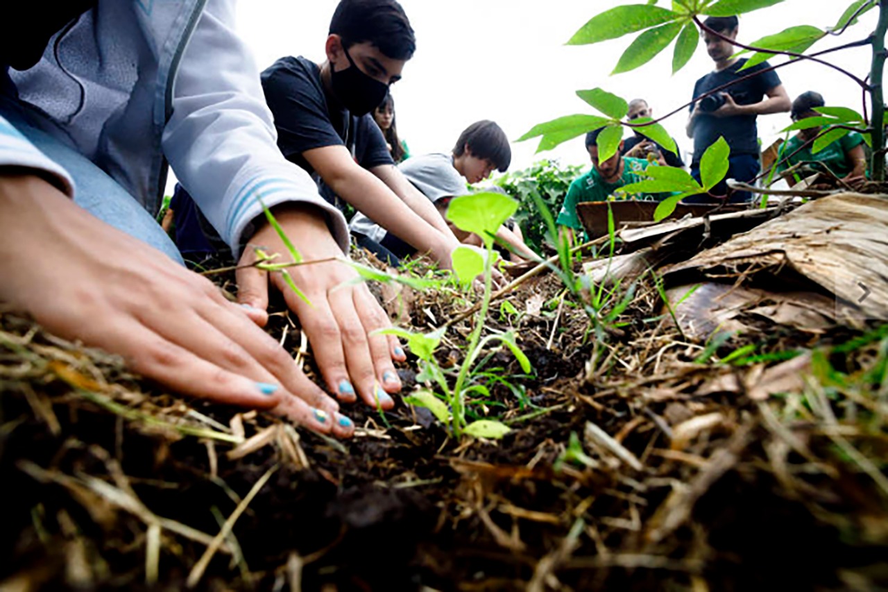 Na escola, crianças aprendem sobre conservação, agrofloresta e mobilização