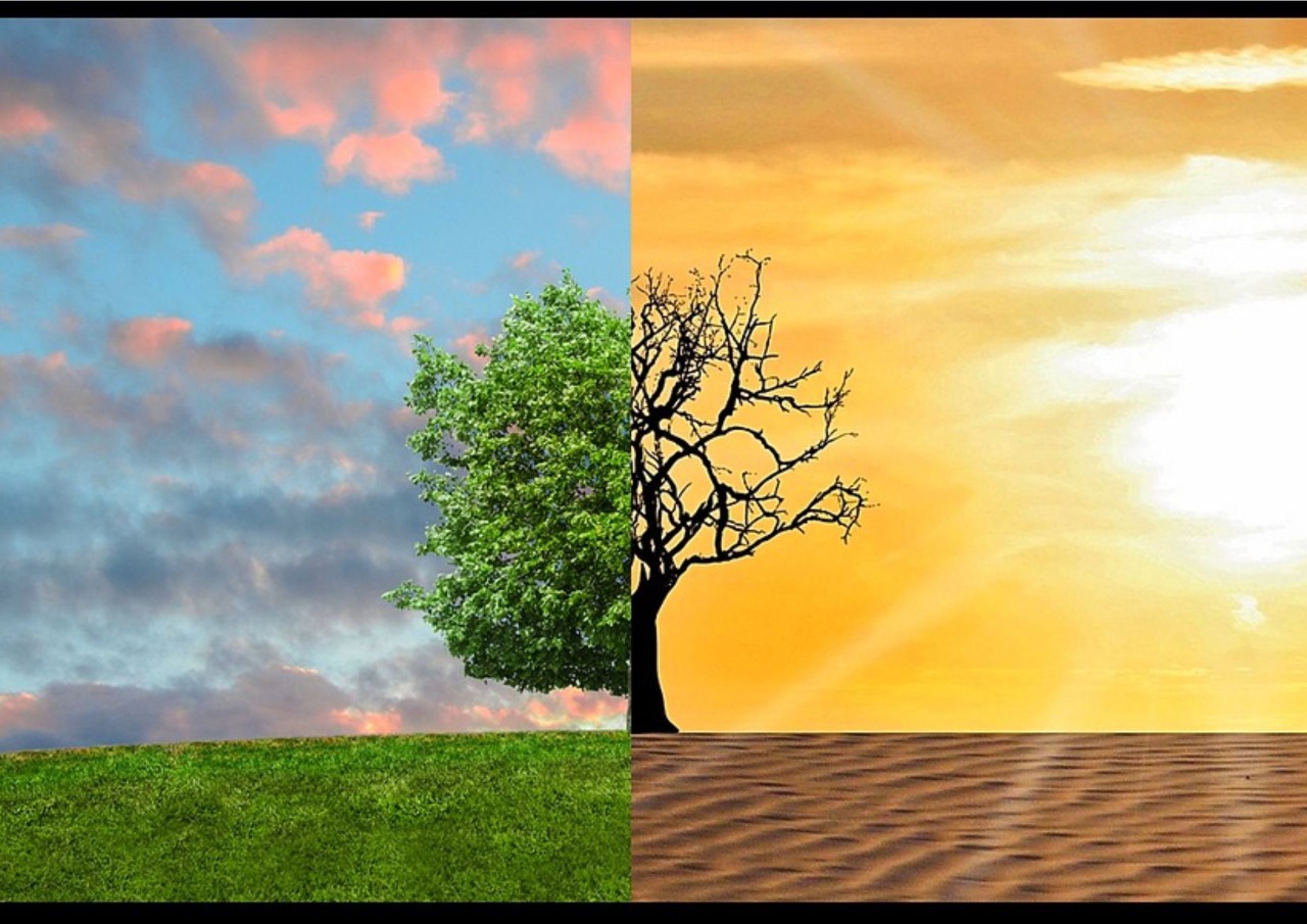 Manifesto luso-brasileiro pede que preocupações climáticas esteja na política ambiental de Lula