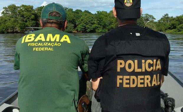 ‘Operação Hermes’ investiga crimes ambientais e mineração ilegal de ouro em sete Estados