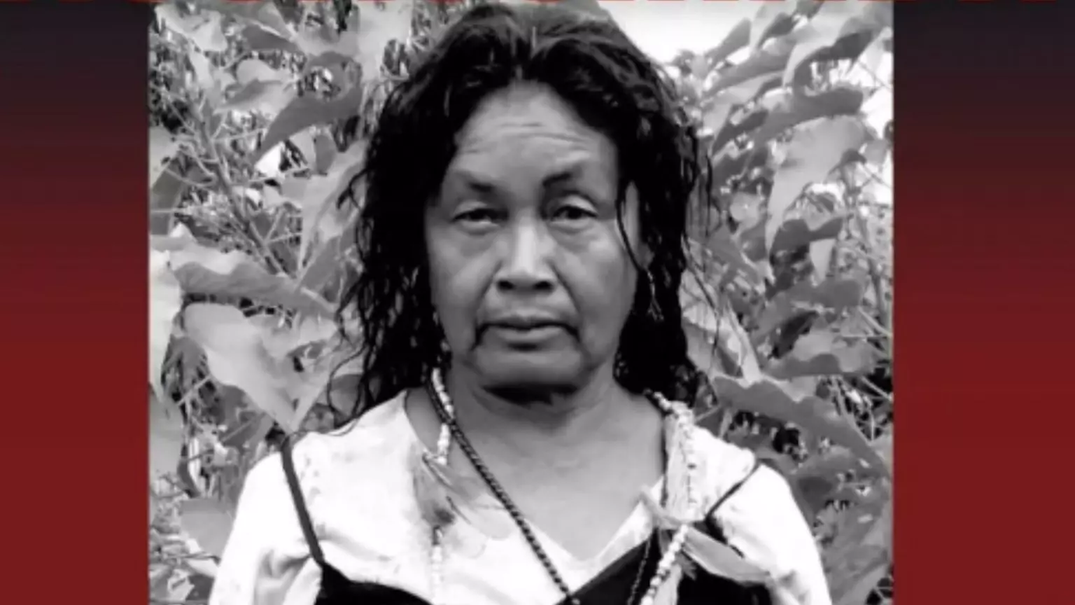 Líder indígena Guarani e Kaiowá, Estela Verá foi vítima de feminicídio em MS