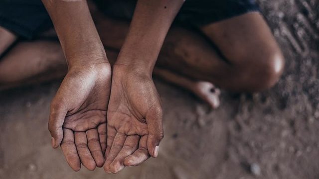 Fome: pesquisa mostra que um quinto dos pequenos agricultores sofrem com insegurança alimentar