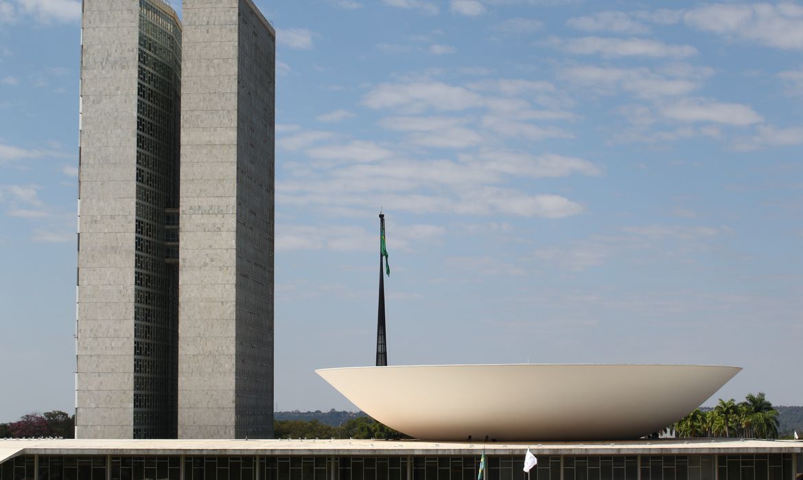 Palácio do Congresso Nacional, na Esplanada dos Ministérios, em Brasília (Fabio Rodrigues Pozzebom/Agência Brasil)