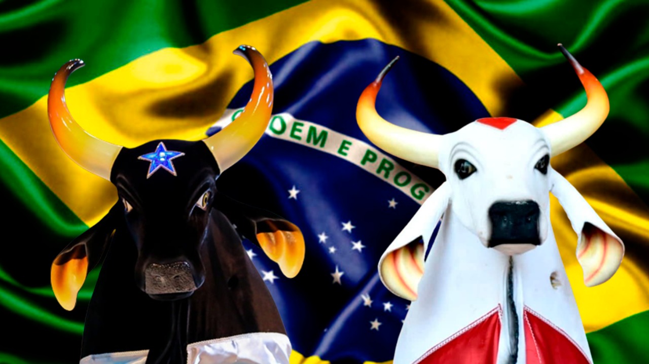 No AM, torcedores de Caprichoso e Garantido escolhem bares temáticos para vibrar pelo Brasil