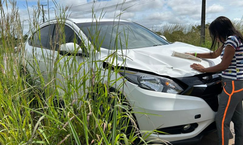 Segundo o motorista, as crianças correram para o meio da rodovia. (Reprodução/ Imediato)