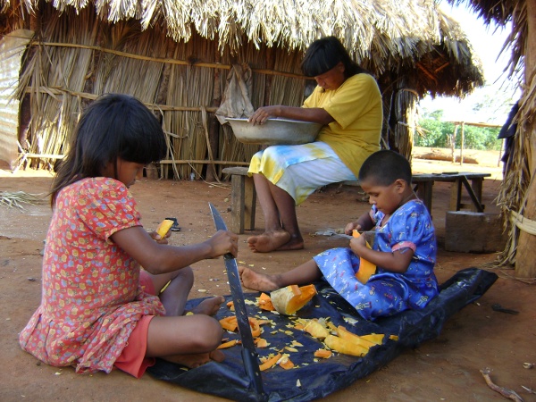 Indigenous producers are among those who use pesticides the least in their crops (Camila Gauditano/Reproduction)