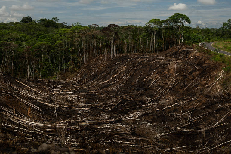 Equador tentou parar exploração petrolífera e proteger a floresta amazônica, mas aconteceu o oposto