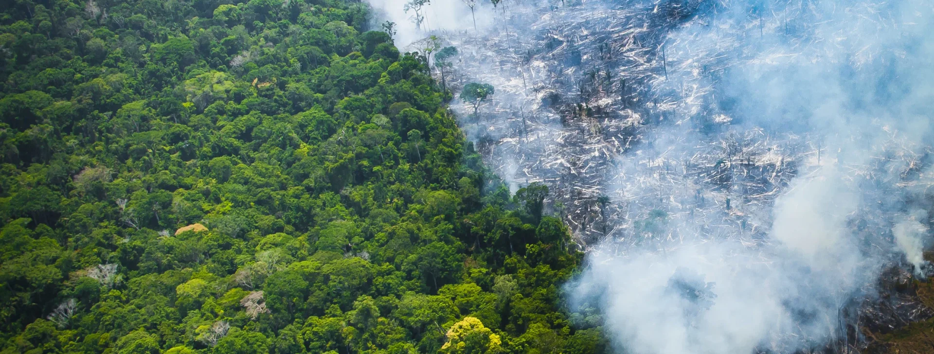 Event in Brasília debates the Amazon, climate emergency and the role of communities in the carbon market