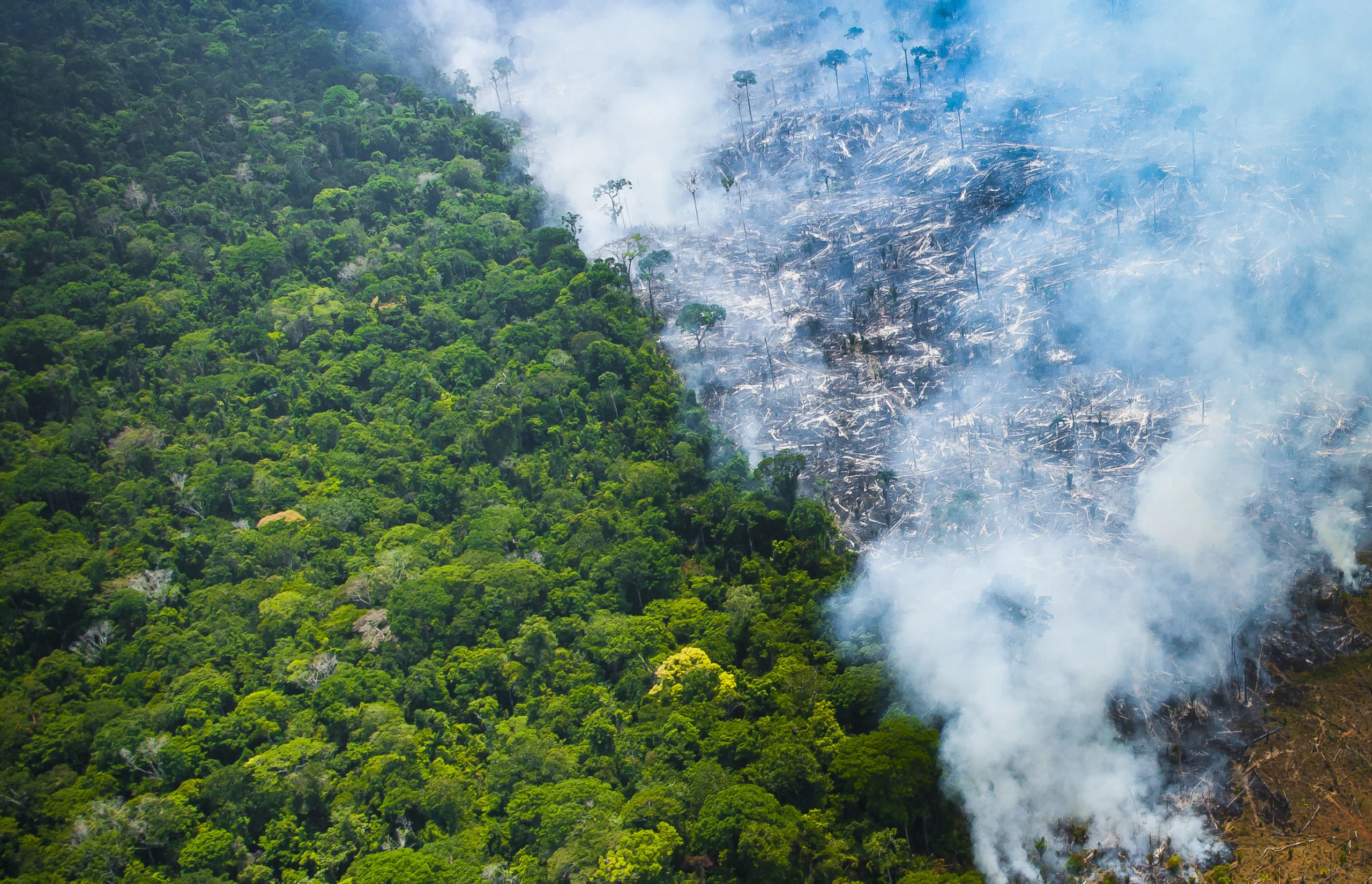 Evento em Brasília debate Amazônia, emergência climática e protagonismo de comunidades no mercado de carbono 