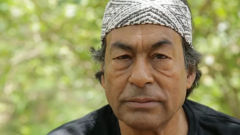 'Os garimpeiros nunca cessaram de estar dentro da Terra Yanomami', diz Krenak (Divulgação)