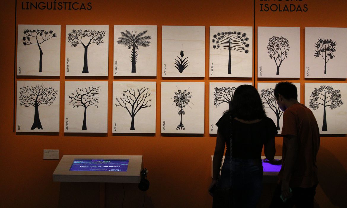 Exposição sobre línguas indígenas ganha versão virtual em São Paulo