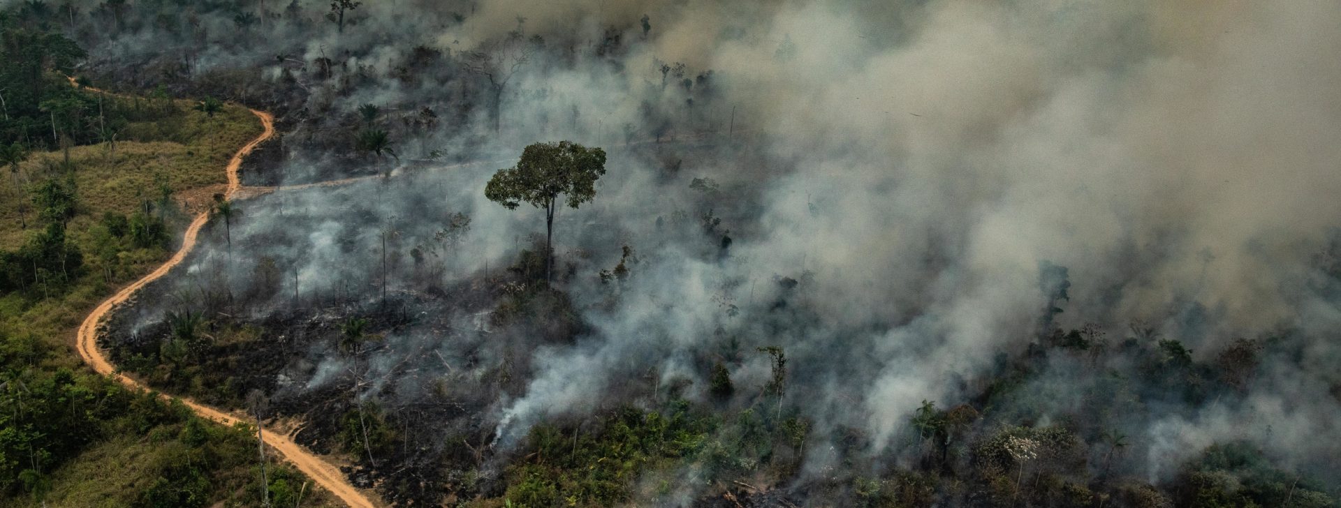 Incêndios florestais ameaçam qualidade da água, alerta pesquisadora da Fiocruz