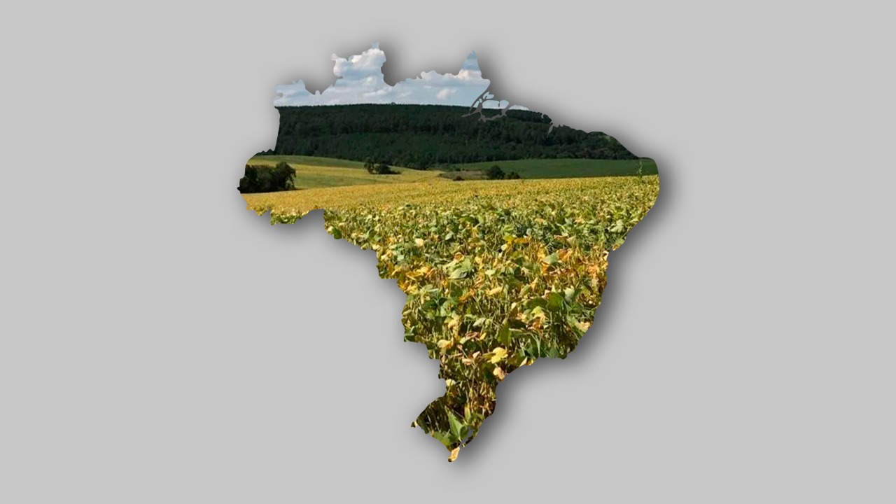 EDITORIAL – Brasil ‘refazenda’, por Márcia Guimarães