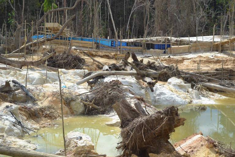 Mercúrio utilizado no garimpo ilegal também contamina animais, águas, solo e ar