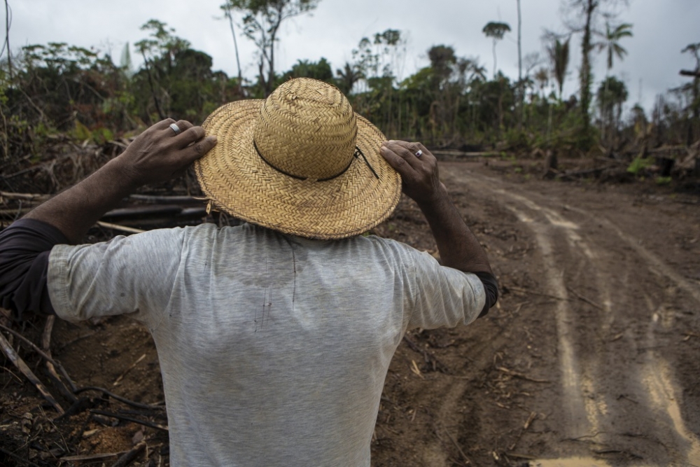 Dados sobre população rural do Brasil podem estar abaixo da realidade, aponta estudo