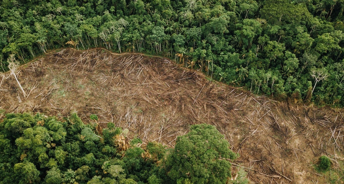 Somente em janeiro, monitoramento aponta redução de desmatamento em mais de 60% no Acre