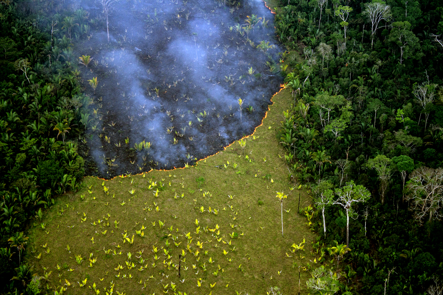 Justiça federal determina criação de plano para proteção da TI Uru-Eu-Wau-Wau em até 90 dias