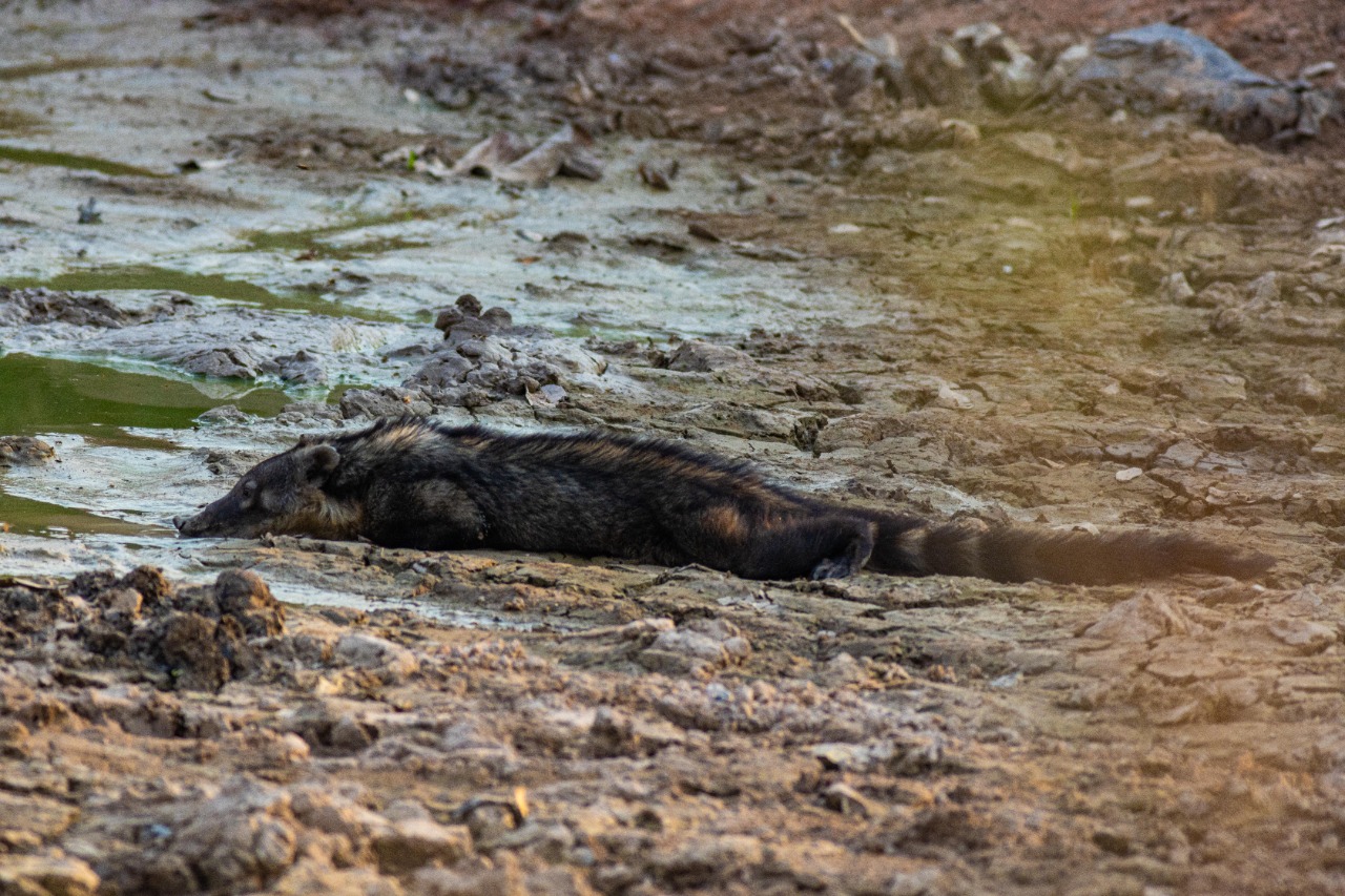 Apesar de recuperação recorde em volume hídrico, Brasil continua ‘secando’
