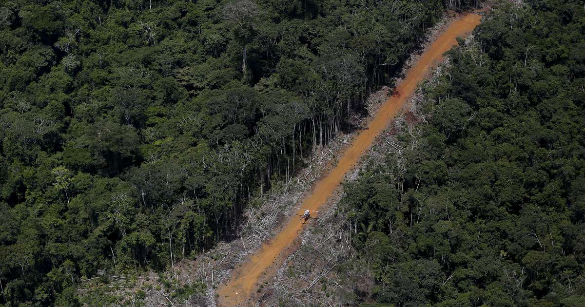 Na Amazônia, Mato Grosso e Pará lideram em pistas de pouso clandestinas, aponta estudo