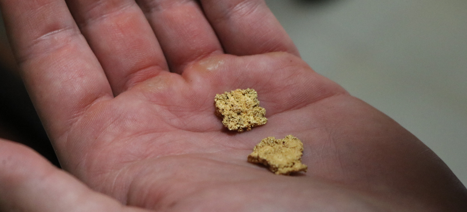 No Pará, fazenda com garimpo ilegal causou dano ambiental de R$ 200 bilhões