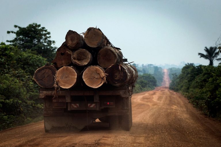 Novo distrito brasileiro, Santo Antônio do Matupi teve aumento de 110% no desmatamento