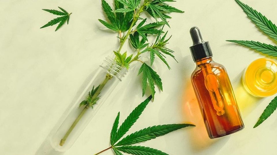 Mercado de produtos à base de cannabis no Brasil movimenta mais de R$ 70 mi