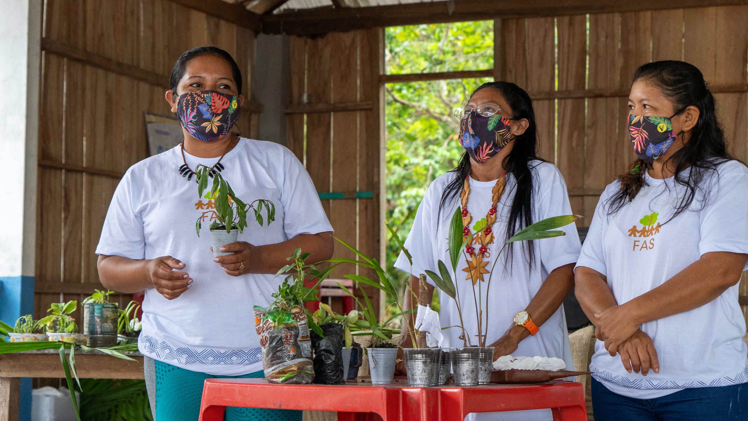 Mulheres na Floresta: seminário debate protagonismo feminino na Amazônia