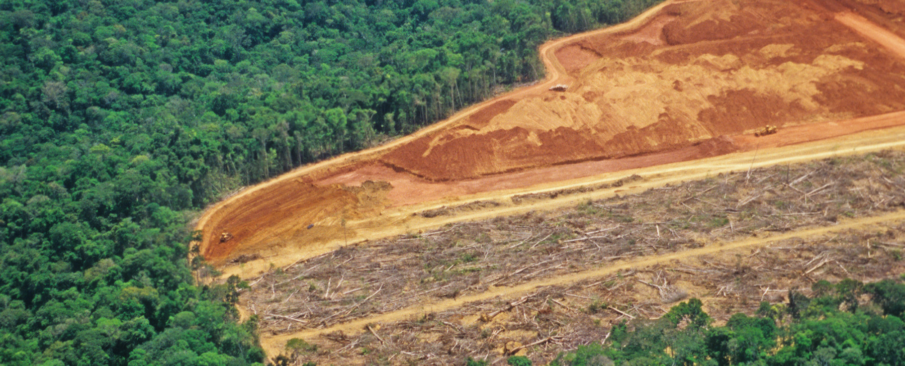 Amazônia: Mato Grosso tem maior número de alertas de desmatamento em fevereiro