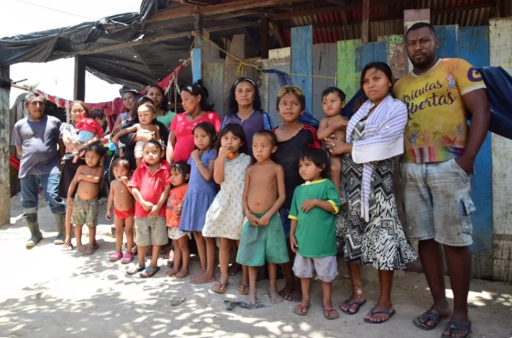 Famílias das etnias Yanomami e Xirixana ficam desabrigadas após ordem de despejo