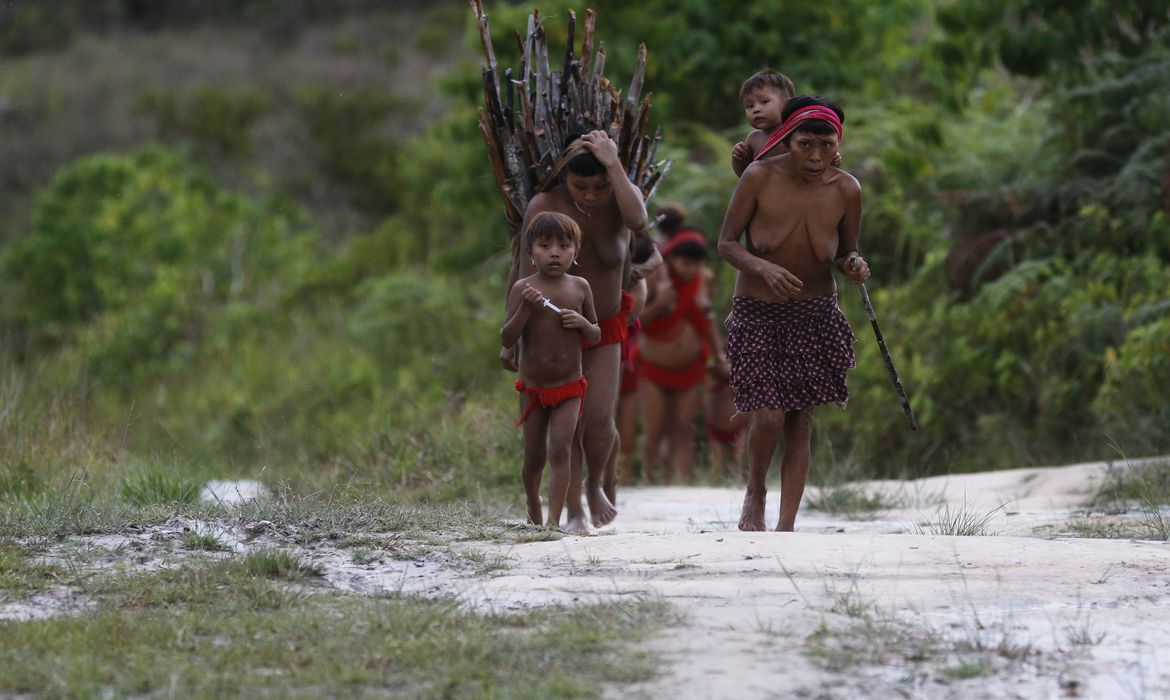Antenas de internet via satélite são instaladas em Terra Indígena Yanomami, em Roraima