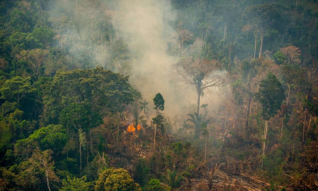 STF decides that reduction of Conservation Units in RO is unconstitutional