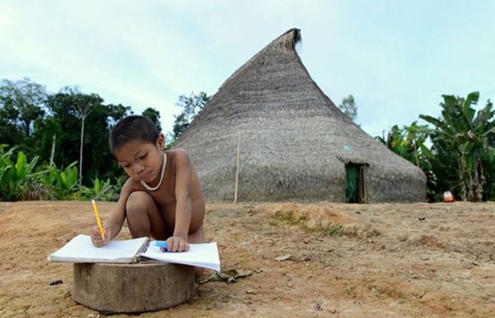 Entidades denunciam desmonte e fragilização do calendário escolar indígena na região do Vale do Javari, no Amazonas (Reprodução/Divulgação)