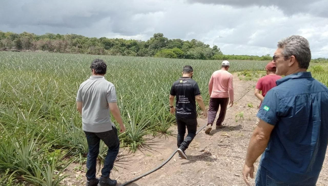 CBA busca impulsionar manejo agroflorestal no interior do AM