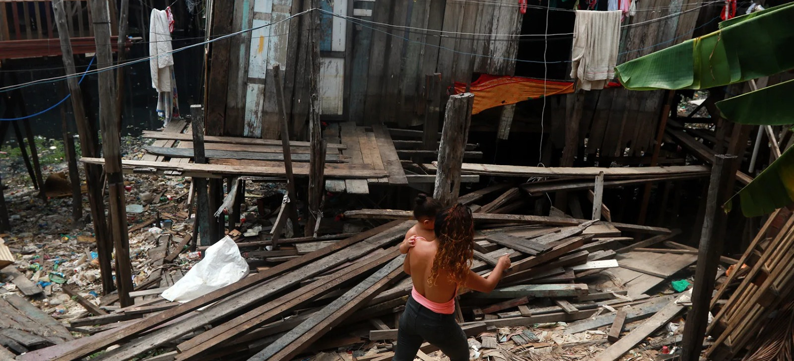 Amazônia: investimento em horticultura e recuperação florestal pode reduzir pobreza