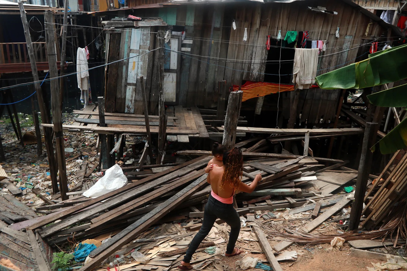 Amazônia: investimento em horticultura e recuperação florestal pode reduzir pobreza