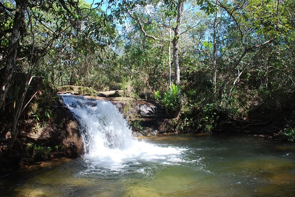 Cerrado pode perder quase 34% do fluxo da água até 2050