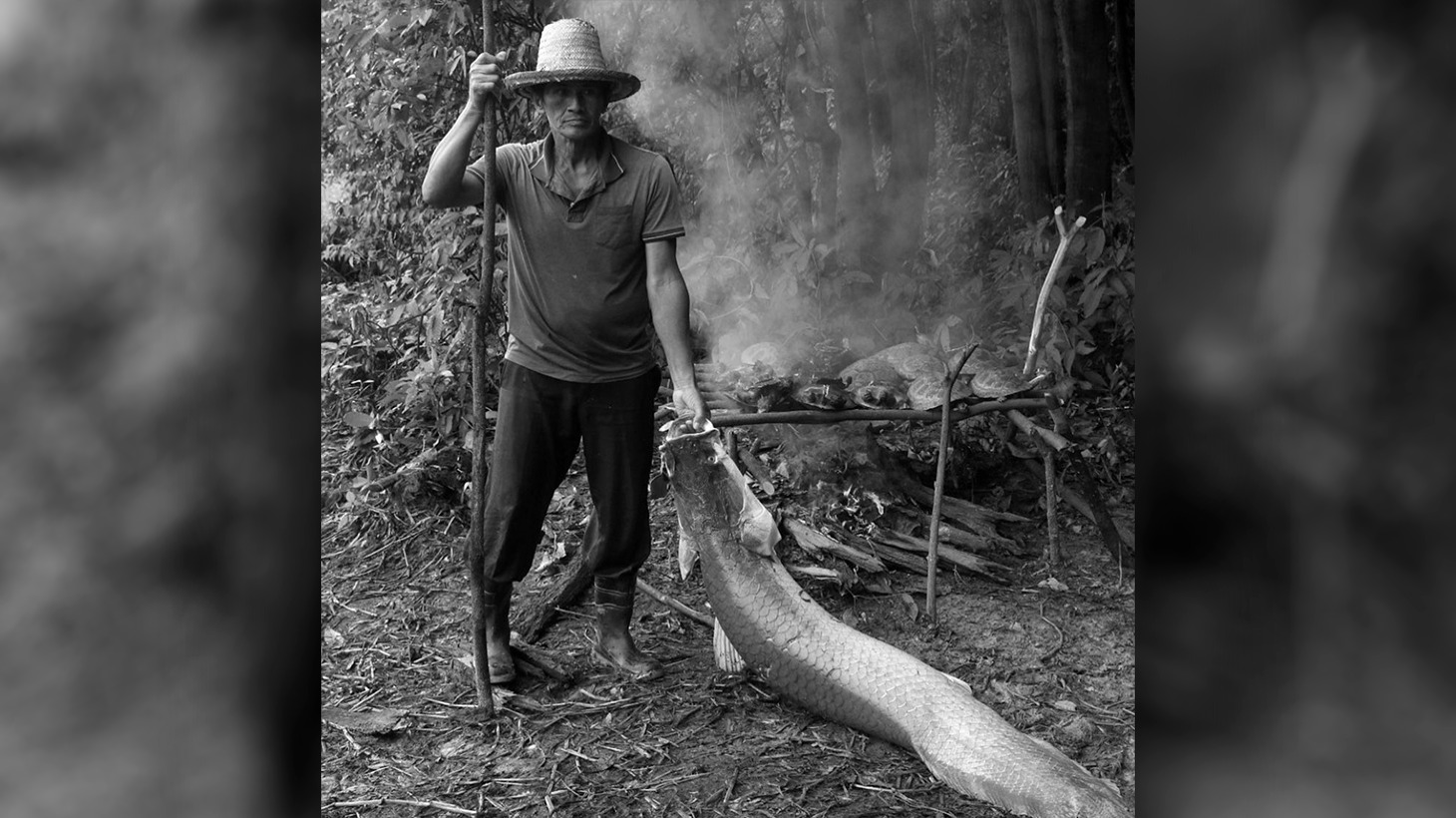 CENARIUM ganha prêmio nacional do Instituto MOL de Jornalismo para Solidariedade