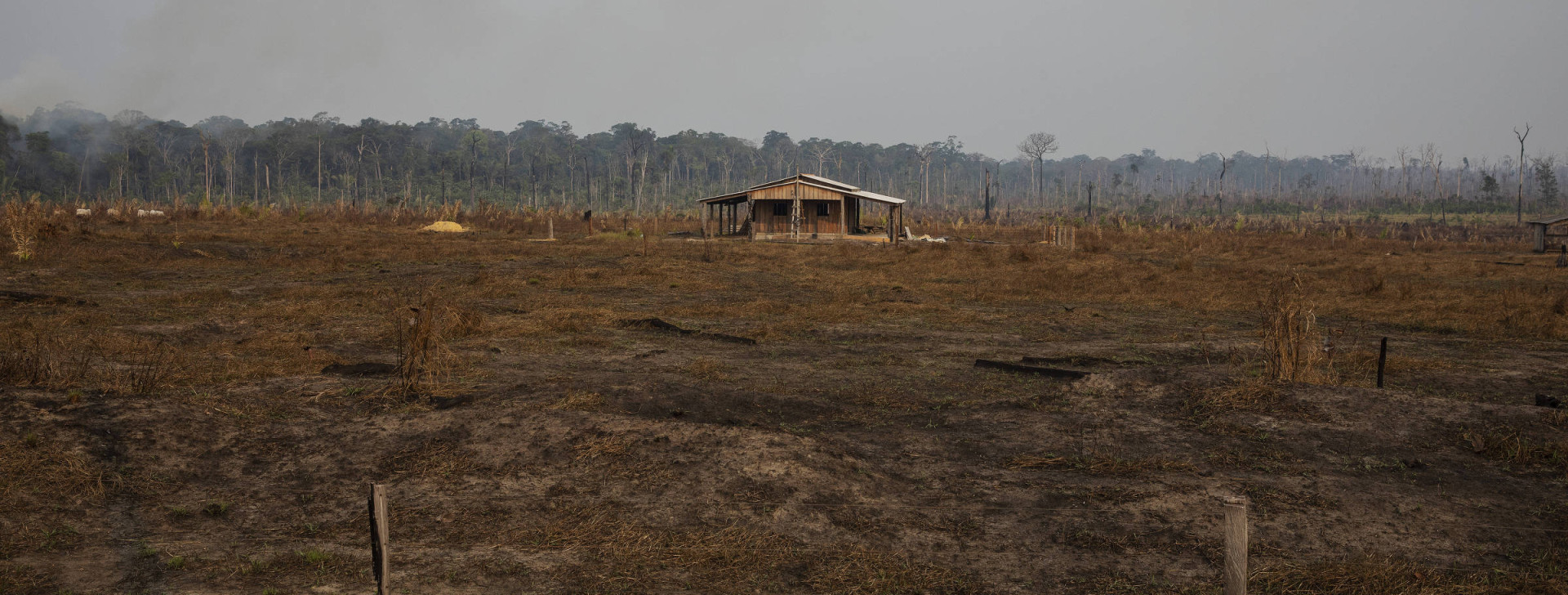 Desmatamento em Apuí, no Sul do Amazonas. (Folhapress)