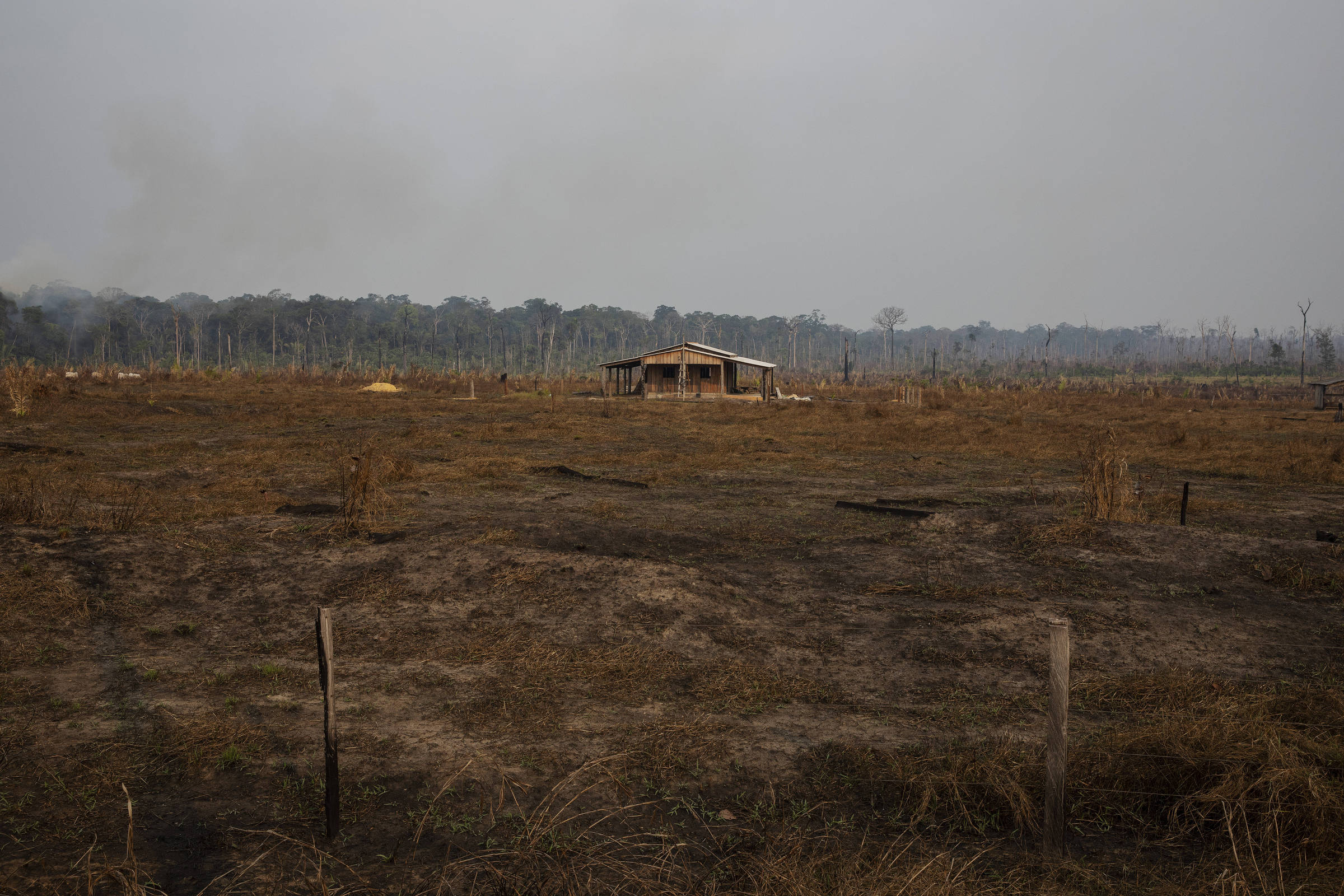 Apuí, no Amazonas, foi o município que mais desmatou a Amazônia em março