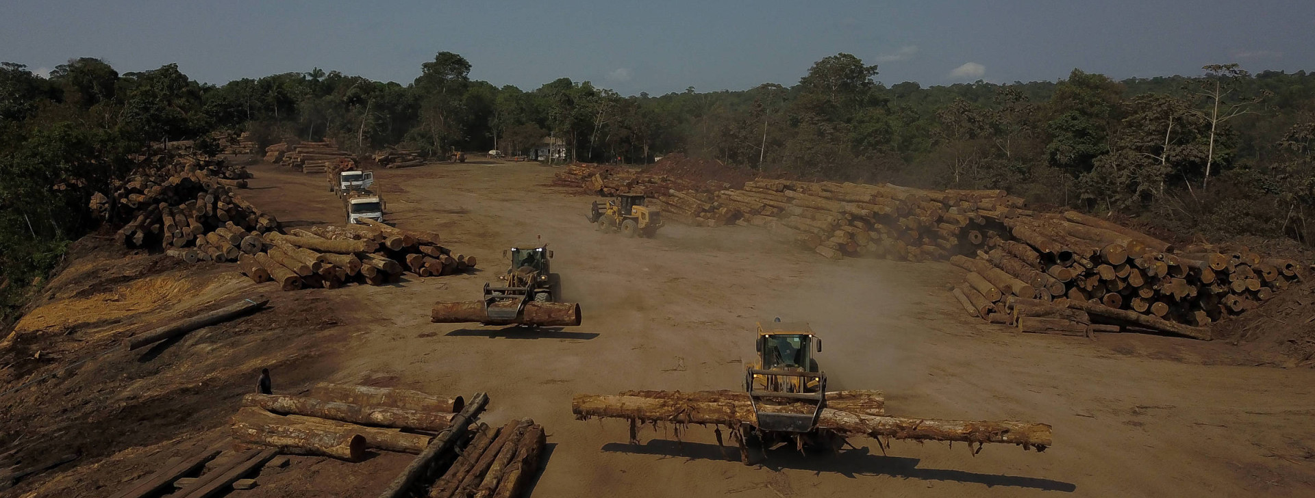 Políticas de exploração da Amazônia de Bolsonaro desafiam as de preservação de Lula