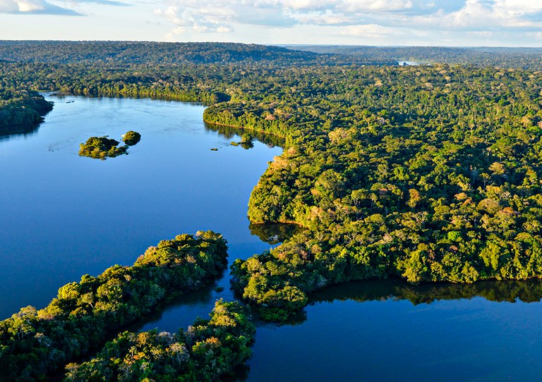 A Amazônia é um dos biomas brasileiros. (Adriano Gambarini)