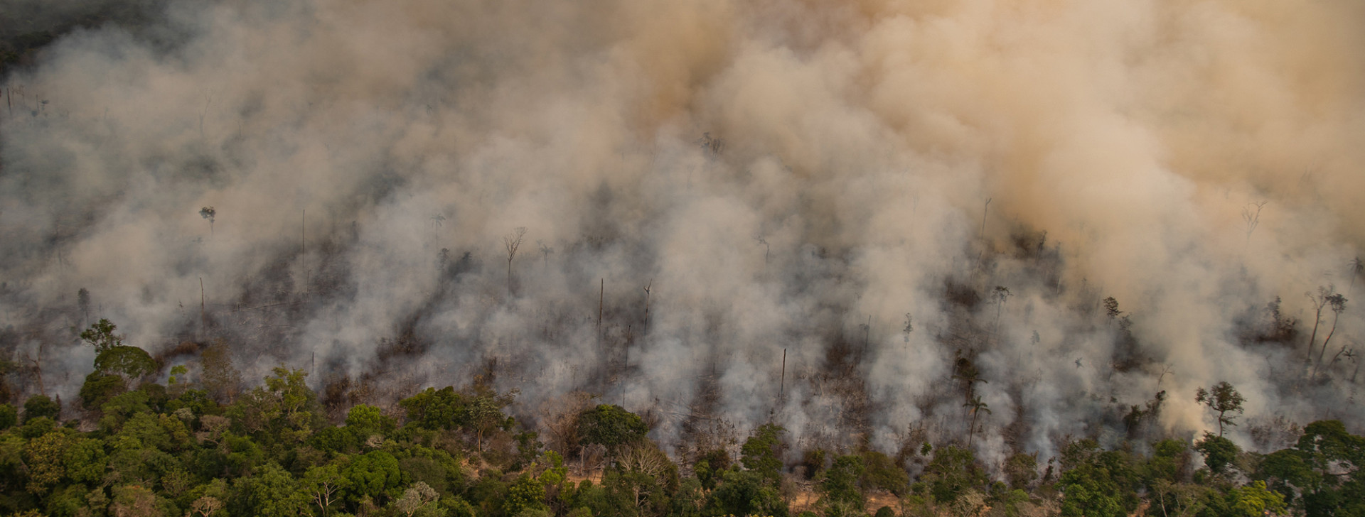 Documentário retrata drama de extrativistas ‘expulsos à bala’ de reserva em Rondônia